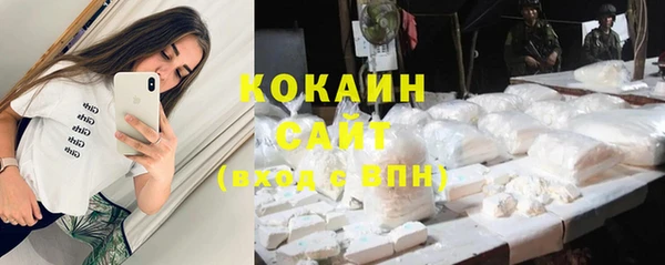 стаф Богданович