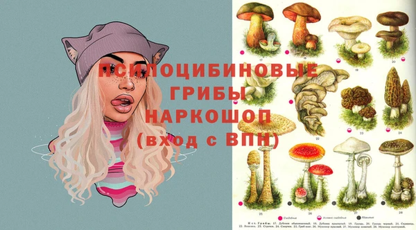 мяу мяу мука Богородицк
