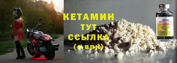 стаф Богданович
